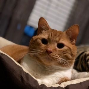 Meet your Posher, Mechele